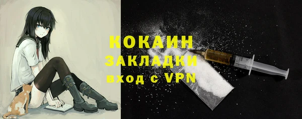 стафф Осташков